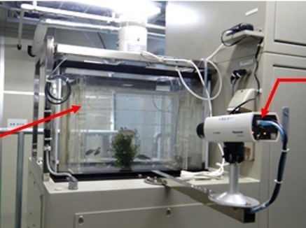 モニタリング事業　水質観測①